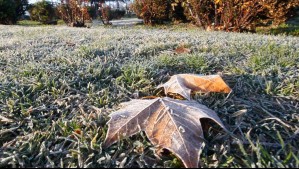 Temperaturas de hasta -15 °C: Meteorología emite alerta y aviso por heladas para zonas de cuatro regiones del país