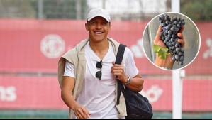 'Experiencia única': Alexis Sánchez comparte imágenes de nuevo restaurante, bar y parque para animales en su viña