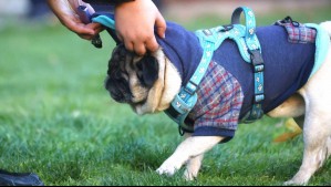 Bajas temperaturas de norte a sur: Revisa el pronóstico del tiempo para este lunes 30 de junio