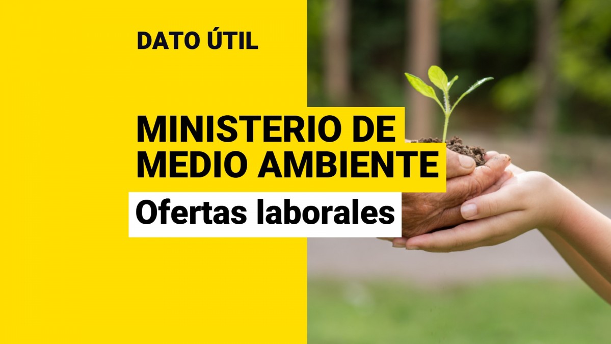 Sueldos pueden superar los 4,5 millones: Conoce las ofertas laborales en el Ministerio de Medioambiente y cómo postular a ellas