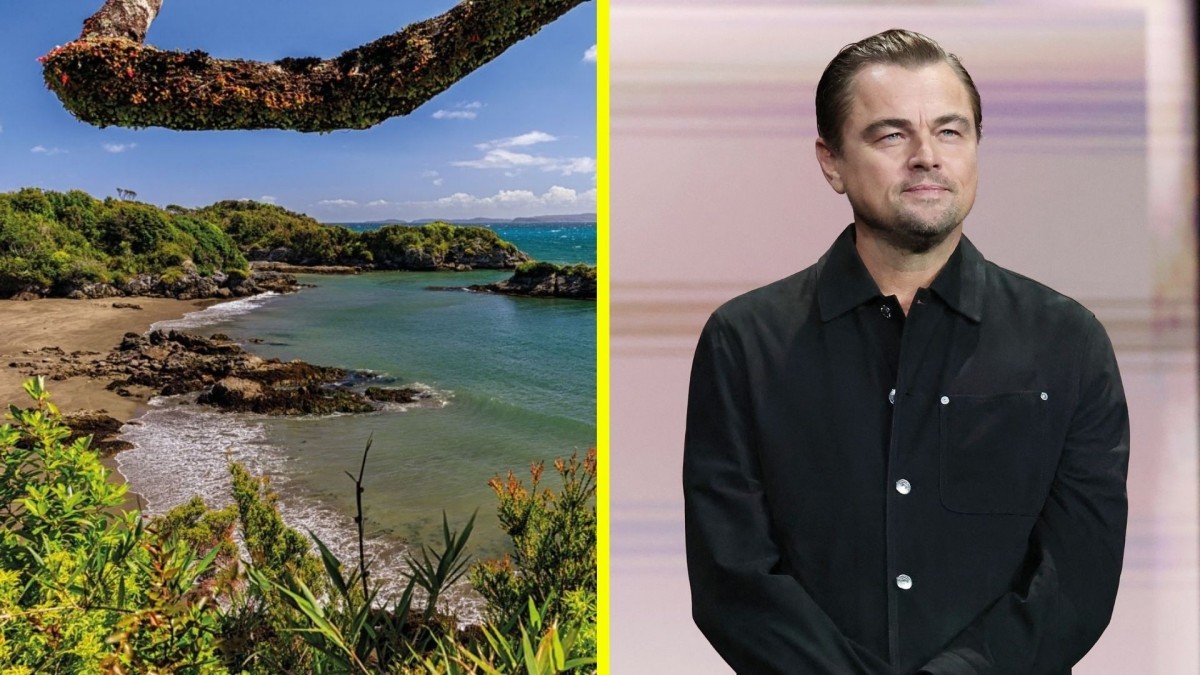 ONG de Leonardo DiCaprio compra isla en Chiloé: Actor revela qué planean hacer el lugar