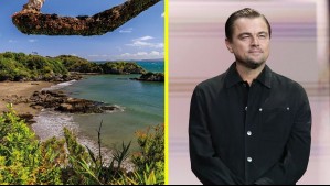 ONG de Leonardo DiCaprio compra isla en Chiloé: Actor revela qué planean hacer en el lugar