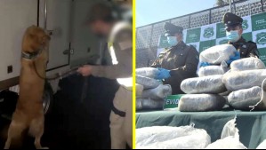 Encuentran más de 700 kilos de droga dentro de camión en Antofagasta: Está avaluada en $1.400 millones
