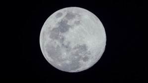 Luna de Ciervo: ¿Qué es y cuándo ocurrirá?