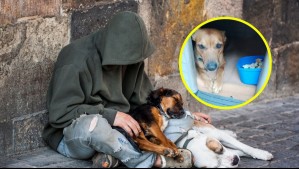 'No quería dejarlo solo': Hombre en situación de calle murió de hipotermia por no querer abandonar a su perro en Argentina