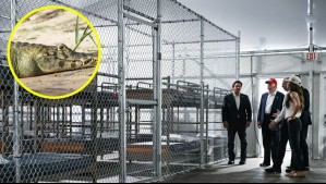 Rodeada de caimanes: Así es Alligator Alcatraz, la nueva cárcel que Trump inauguró para migrantes