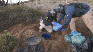 Enterrada en tambores: Así la PDI encontró más de 220 kilos de marihuana de banda narco