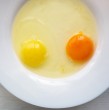 ¿El color de la yema influye en la calidad del huevo? Descubre qué significa si es amarilla o naranja, a qué se debe la diferencia y si tiene relación con el valor nutricional o la alimentación de las gallinas.