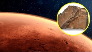 Subastarán el meteorito marciano más grande en el mundo: 'El más valioso de su tipo jamás ofrecido'