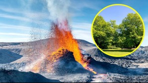 ¿Se pueden predecir erupciones volcánicas? La NASA revela que los árboles podrían ayudar