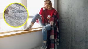 Papel de burbuja en las ventanas: Cómo aplicar correctamente este popular truco para aislar el frío