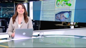 Meganoticias Prime - Domingo 6 de julio 2025
