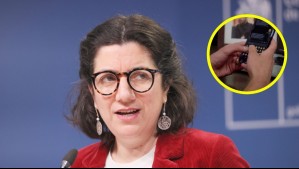 Gobierno critica video de la UDI caricaturizando a Boric: 'Es inaceptable... la figura presidencial tiene que ser respetada'