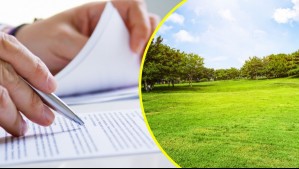 Abogado denuncia millonario fraude en notaría: Falsificaron su carnet para quitarle parcela de Zapallar