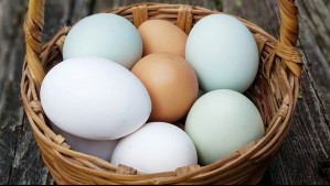 ¿Cuál es la diferencia entre los huevos blancos y los de color?