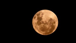 ¿Qué es y a qué hora ver la Luna de Ciervo este jueves?