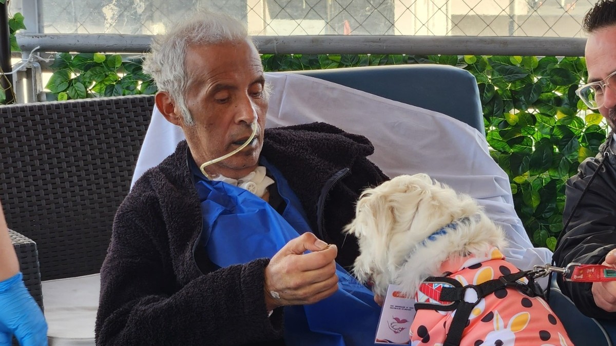 'Es el regreso a la vida': Paciente recibe visita de su perrita tras 70 días hospitalizado en Viña del Mar