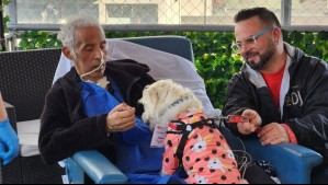 'Es el regreso a la vida': Paciente recibe visita de su perrita tras 70 días hospitalizado en Viña del Mar