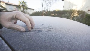 Intensas heladas en la zona centro sur: Emiten advertencia agrometeorológica para tres regiones