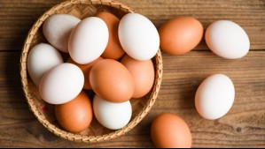 Huevos blancos vs huevos de color: Descubre en qué se diferencian