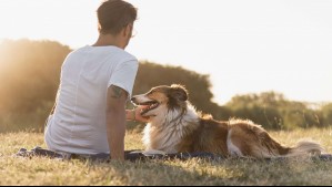 ¿Qué significa que tu perro te siga a todos lados? Estas podrían ser las razones