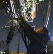 ¿Está tu barrio entre los afectados? La compañía comunicó una serie de suspensiones en el servicio de electricidad a raíz de trabajos previamente programados en distintos puntos de la capital.