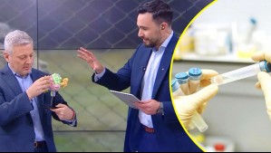 Es uno de los virus más mortales del mundo: Descubren potencial tratamiento contra Nipah