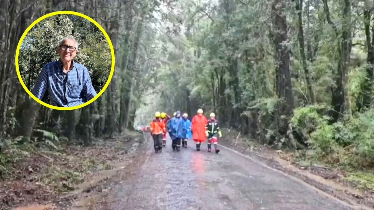 Lleva casi un mes desaparecido: Lo que se sabe del caso del adulto mayor al que se le perdió el rastro en Puyehue