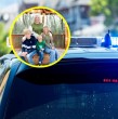 Conoce detalles sobre la escalofriante nota que fue encontrada en la pieza de un adolescente tras el asesinato de su madre y su hermano hijo en marzo pasado en Estados Unidos.