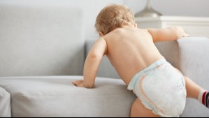 Empresa chilena de pañales y toallitas da el salto al extranjero: ¿En qué país comenzará a vender sus productos?