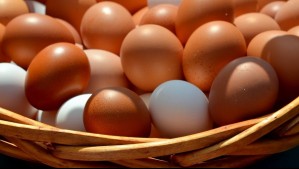 Huevos de contrabando: Los riesgos de consumir productos sin certificación sanitaria