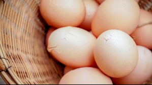 ¿Qué pasa si comes huevos de contrabando? Experta revela los efectos que puede tener en tu salud