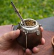 El mate es una infusión tradicional con múltiples beneficios, pero también con ciertas contraindicaciones. Conoce cuál es la mejor hierba para potenciar sus propiedades y cómo agregarla correctamente.