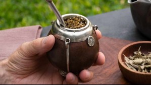 Esta es la mejor hierba que puedes agregarle al mate: Mejora la concentración y reduce el cansancio
