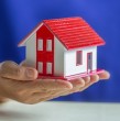 Si estás buscando el sueño de la casa propia, esta puede ser tu oportunidad. Conoce qué es el Black Inmobiliario que se realizará en los próximos días y qué marcas del sector están participando con descuentos.