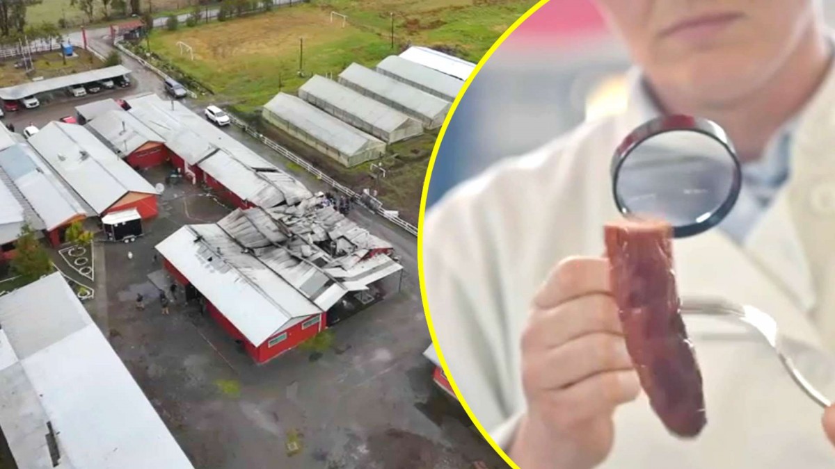 Incendio destruyó fábrica de longanizas en San Carlos: Conoce cómo inspiró a la exitosa película 