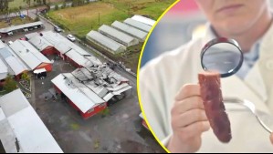 Incendio destruyó fábrica de longanizas en San Carlos: Conoce cómo inspiró a la exitosa película 'Denominación de origen'
