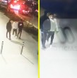 Mira el video que muestra el último lugar donde fue divisado Osmar Ferrer, sicario acusado de participar del homicidio del Rey de Meiggs y que fue liberado en circunstancias que están siendo investigadas.