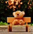 Descubre cuándo se celebra el Día del Niño en Chile, especial fecha para disfrutar en familia a los más pequeños del hogar y reflexionar sobre los derechos de las infancias.