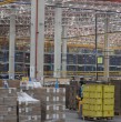 Una de las empresas ligada a la familia Paulmann Mast está atravesando un complejo panorama económico. Conoce todos los detalles al respecto en la siguiente nota periodística.