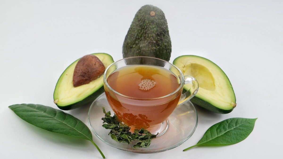 Té de cuesco de palta: ¿Cuáles son sus beneficios y cómo se prepara?