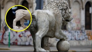 León de mármol de parque Italia de Valparaíso perdió su cola: No se sabe si se trató de una acción vandálica