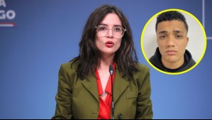 Ministra Vallejo por sicario liberado: 'El Gobierno comparte y entiende la indignación, la rabia y la molestia'