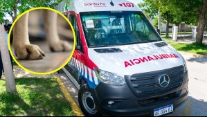 Joven intentó separar a su perro de una pelea, pero se electrocutó y falleció aplastado por un horno en Argentina