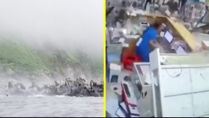 Videos muestran el momento exacto en que se produjo el terremoto de magnitud 8,8 en Rusia
