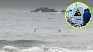 Video muestra a surfistas en playa de Reñaca a minutos de evacuación por alerta de tsunami