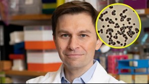 'La persona que vivirá 150 años ya nació': Genetista de Harvard anticipa avances científicos en longevidad
