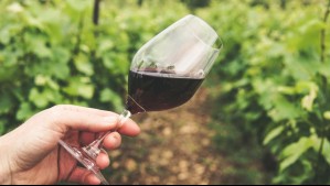 ¿Te gustaría ser enólogo? Este sueldo pueden ganar los expertos en vino