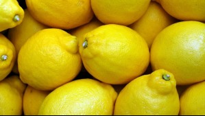 ¿Los limones se te pudren? Así debes guardarlos para que duren más tiempo