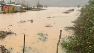 Sistema frontal: Declaran Alerta Roja por desborde en la comuna de Renaico tras crecida del río Vergara